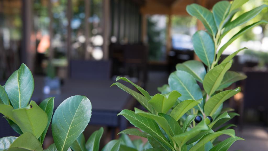 Hotel Badhof Altstätten Pokój zdjęcie